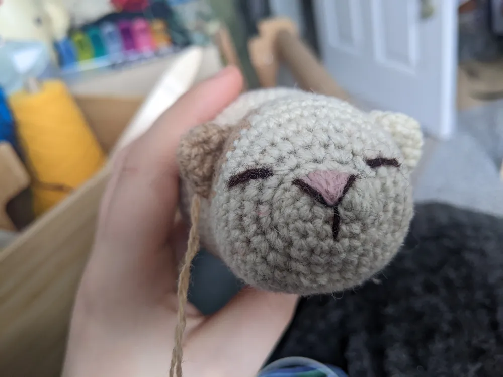 Dave the throwing cat in his final stages of production