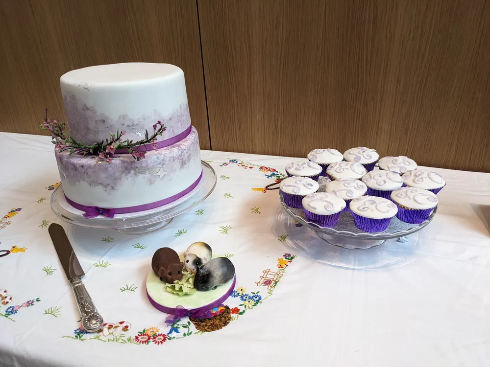 The cake, vegan cupcakes and fondant guinea pigs